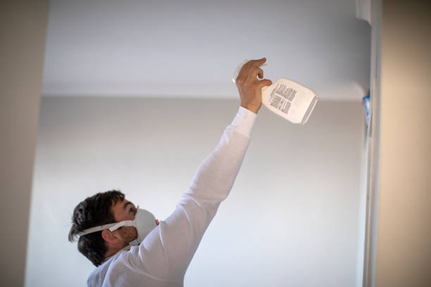 Best Crawl Space Mold Removal  in Harveys Lake, PA